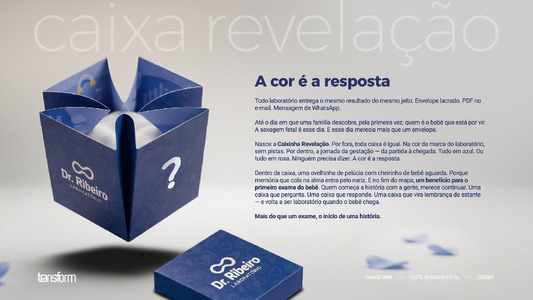 Caixa Revelação